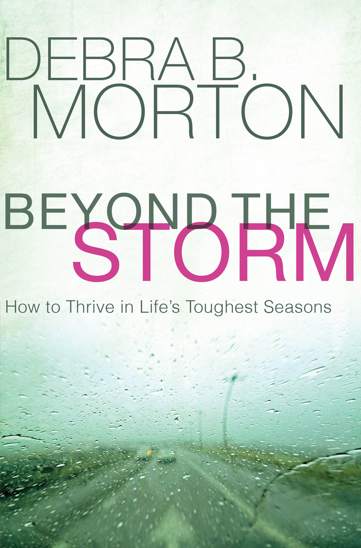 Praise for Beyond the Storm Pastor Morton has created an inspirational and - photo 1