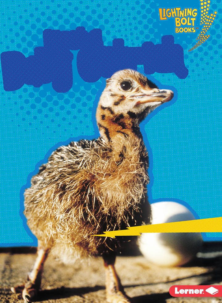 Meet a Baby Ostrich Marie Powell Copyright 2016 by Lerner Publishing - photo 1