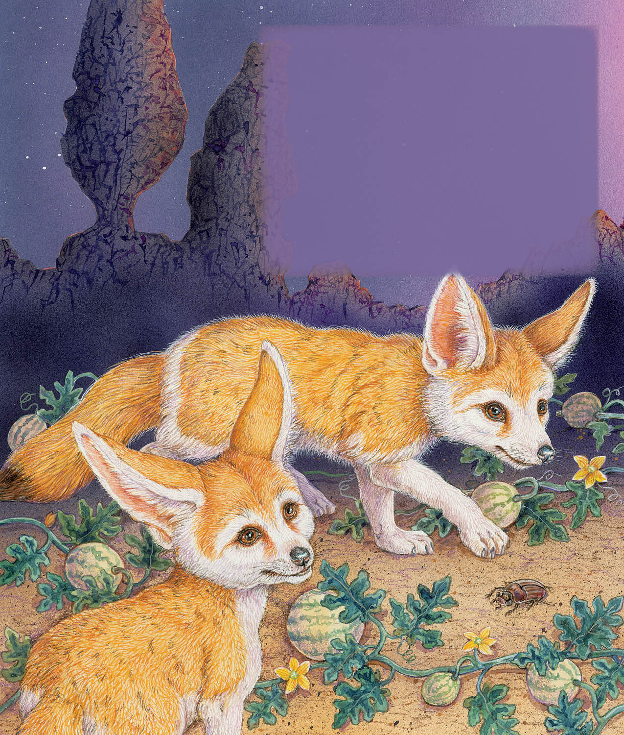 Youre a Fennec Fox may be sung to Do Your Ears Hang Low Do you have big - photo 10