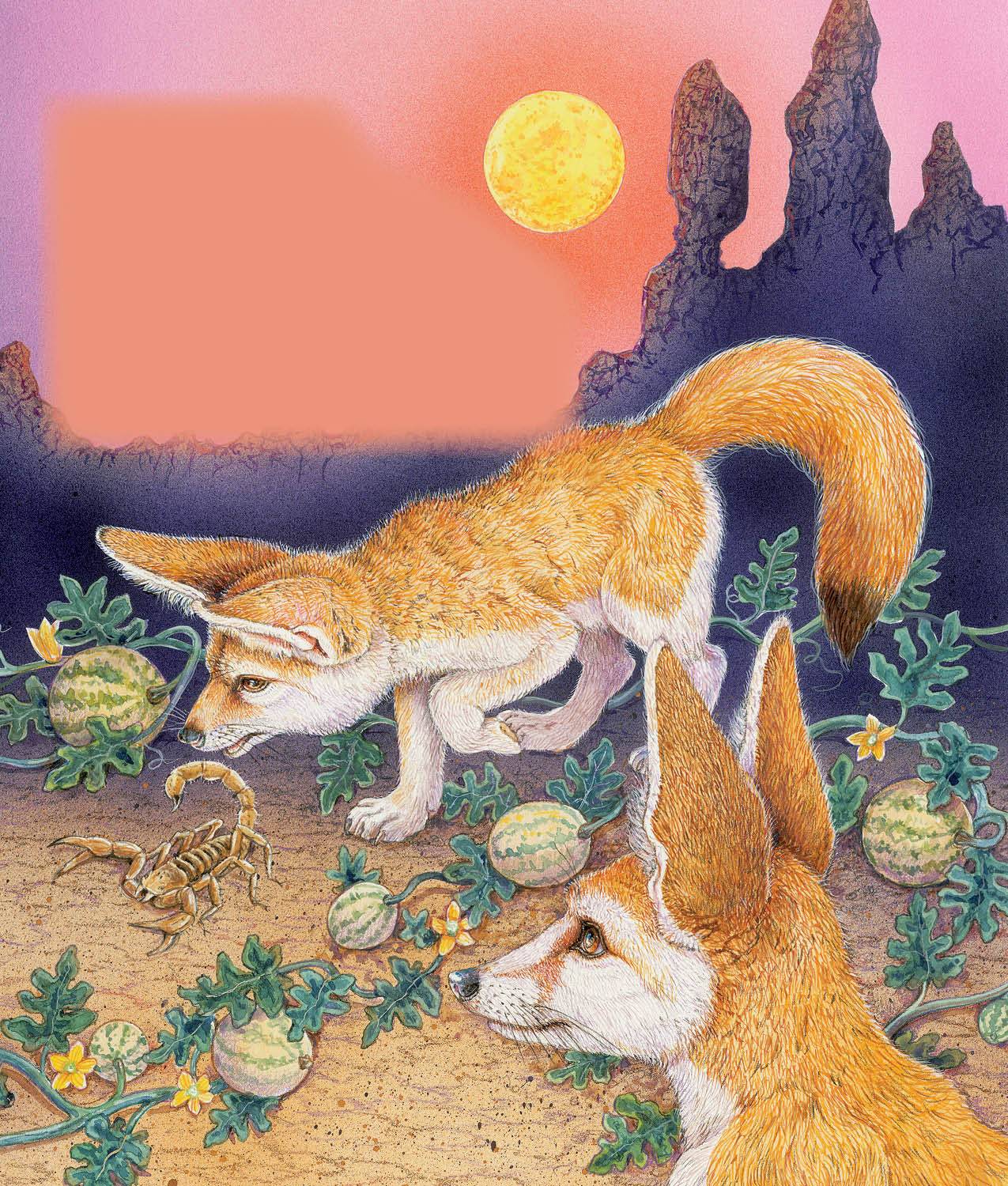 If you do then Youre a fennec fox Dig a den among the rocks Sleep - photo 11