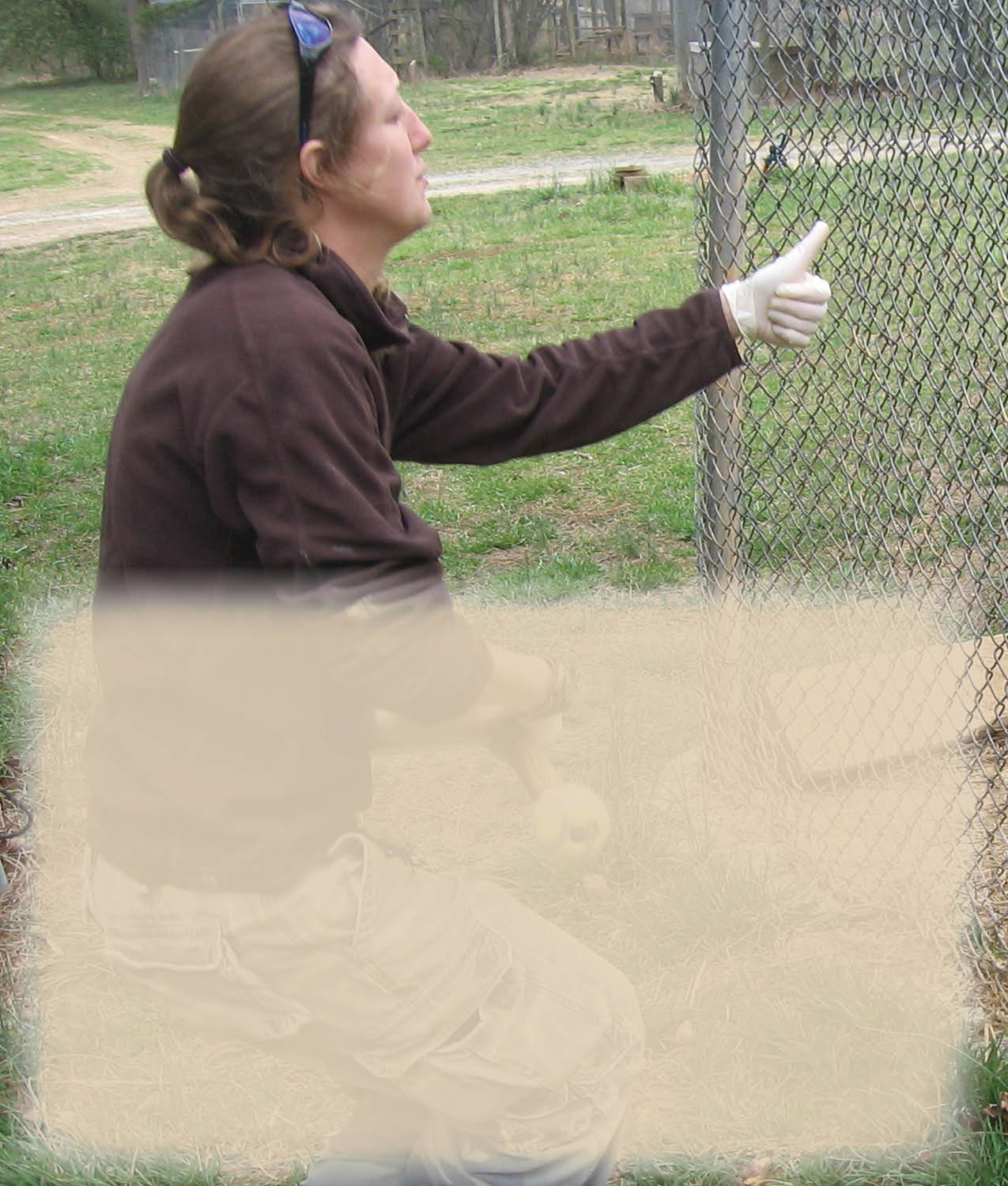 Emerson the Tiger is clicker trained His keeper wants to check his tummy for - photo 18