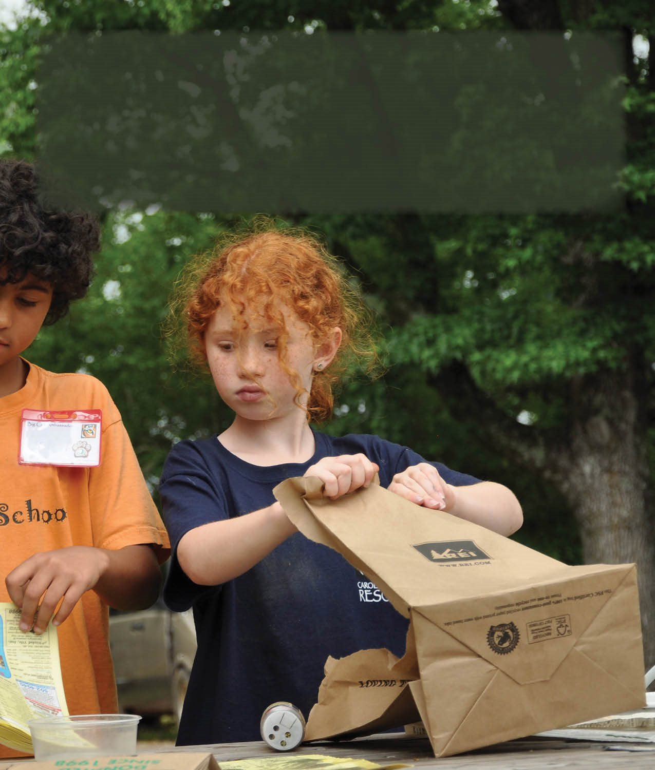 Since lions and tigers love different sorts of smells these summer campers - photo 23