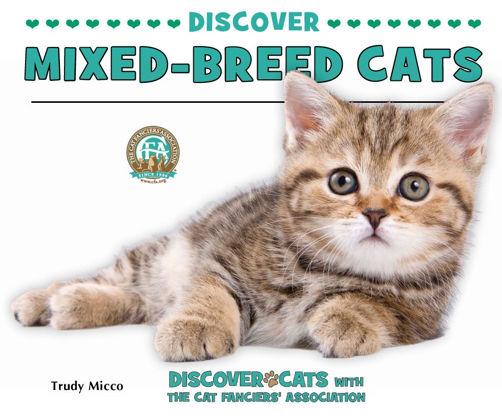 DISCOVER MIXED-BREED CATS Trudy Micco DISCOVER - photo 1