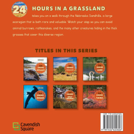 Ruth Bjorklund - 24 Hours in a Grassland