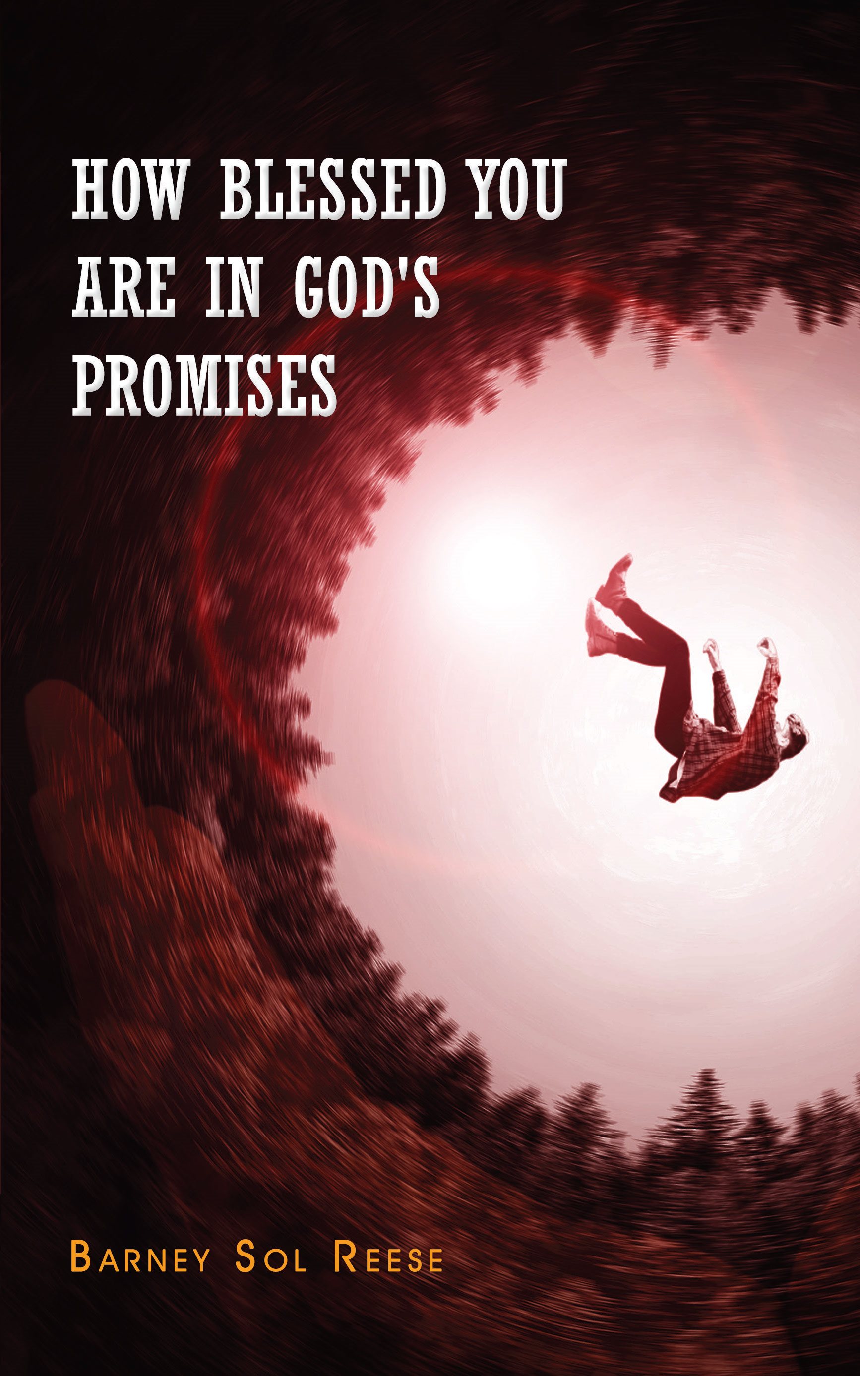 How Blessed You Are In Gods Promises Copyright 2021 by Barney Sol Reese All - photo 1