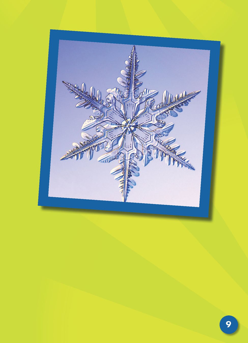 This snowflake has thin branches arms or smaller parts of somethinglarger It - photo 10