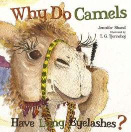 Jennifer Shand - Why Do Camels Have Long Eyelashes?