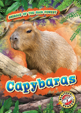 Rachel Grack - Capybaras