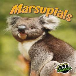 Jeanne Sturm - Marsupials
