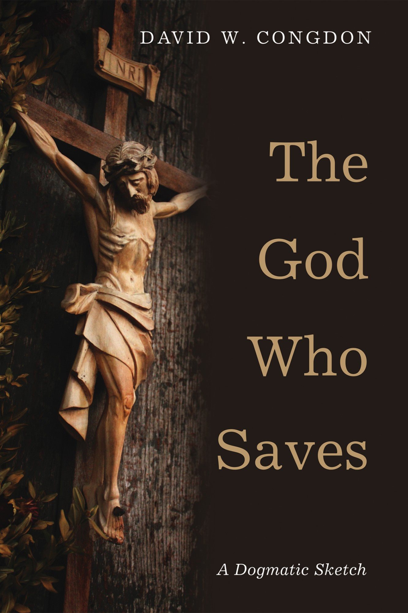The God Who Saves A Dogmatic Sketch David W Congdon The God Who Saves A - photo 1