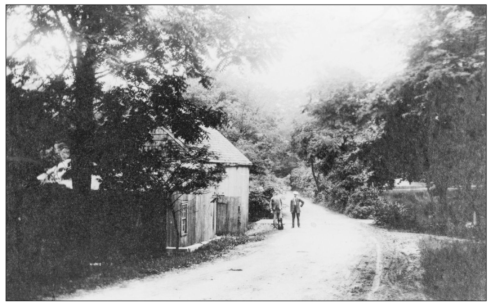 COOKS MILL John Cook pictured with Irving Downs and Downss spaniel Snaps - photo 7