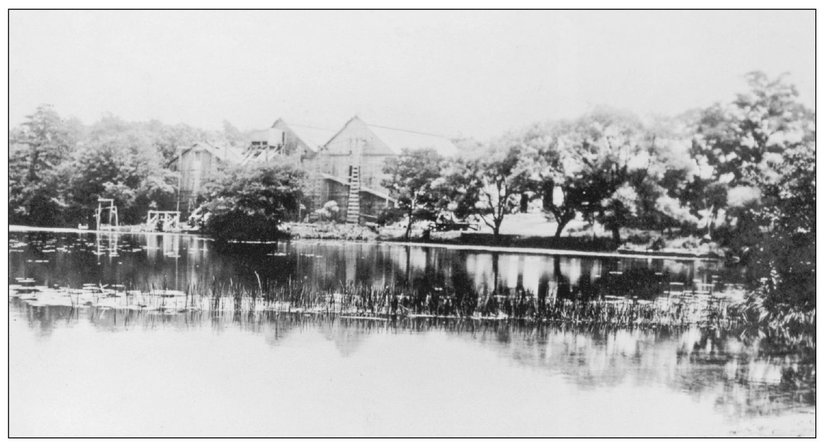 THE ICE FACTORY Beaver Dam Creek and Cooks Pond became the center of life for - photo 8