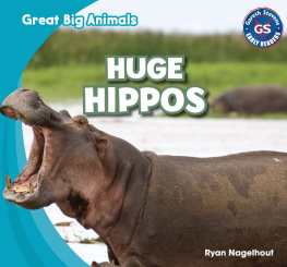 Ryan Nagelhout Huge Hippos