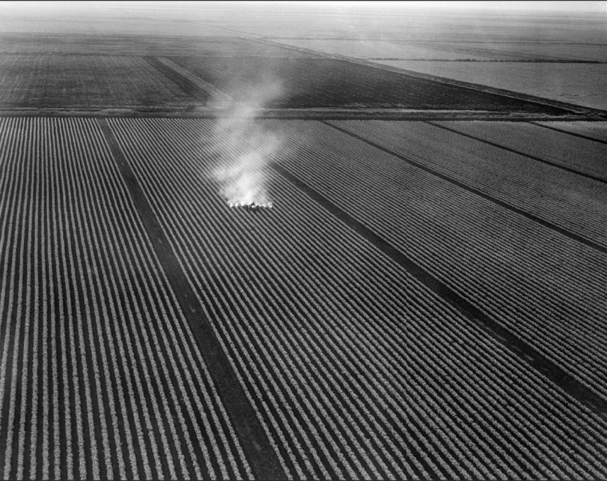 Just 25 miles west of the Florida Turnpike a crop sprayer plies its way across - photo 4