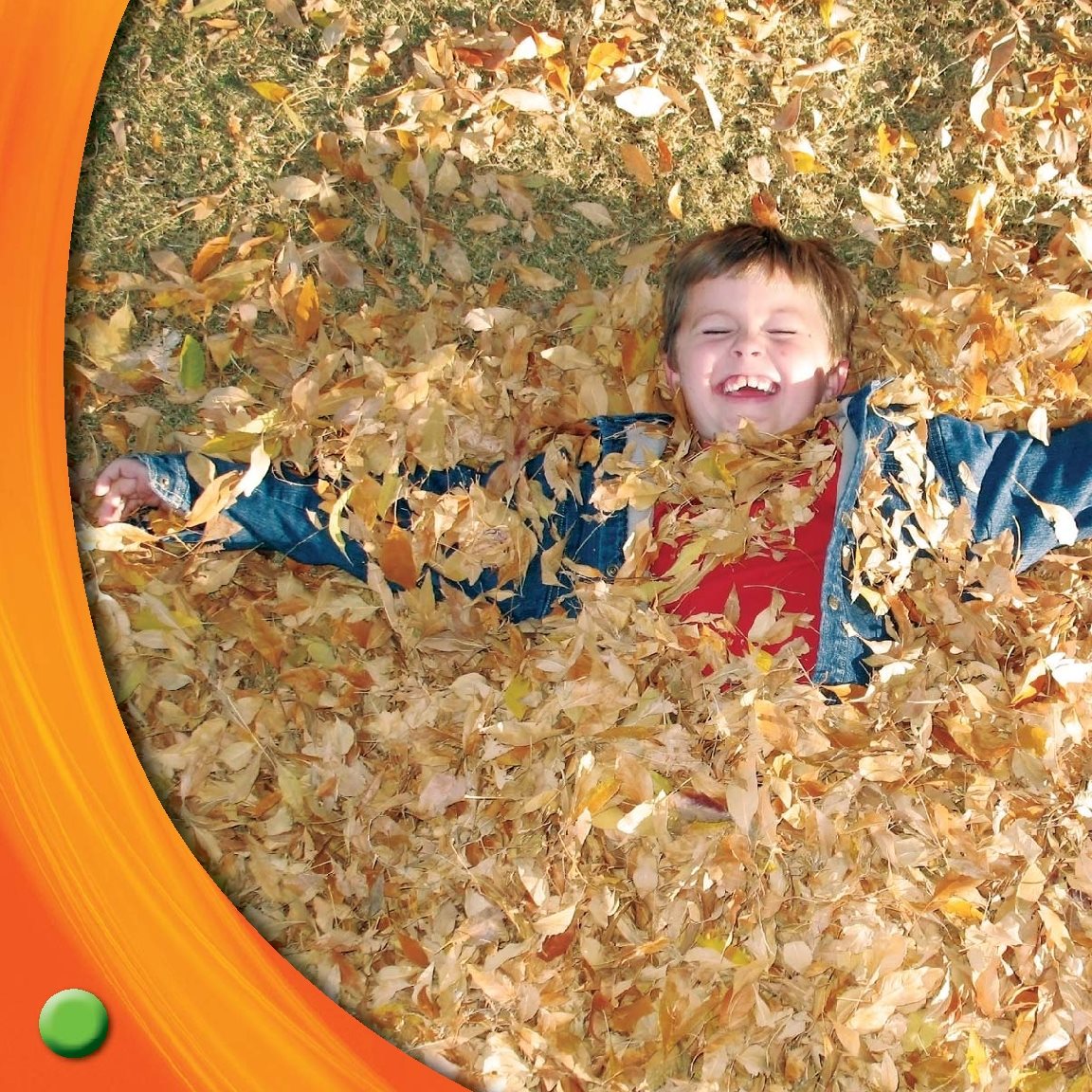 Leaves fall People rake them into piles Ben plays in fallen leaves - photo 11