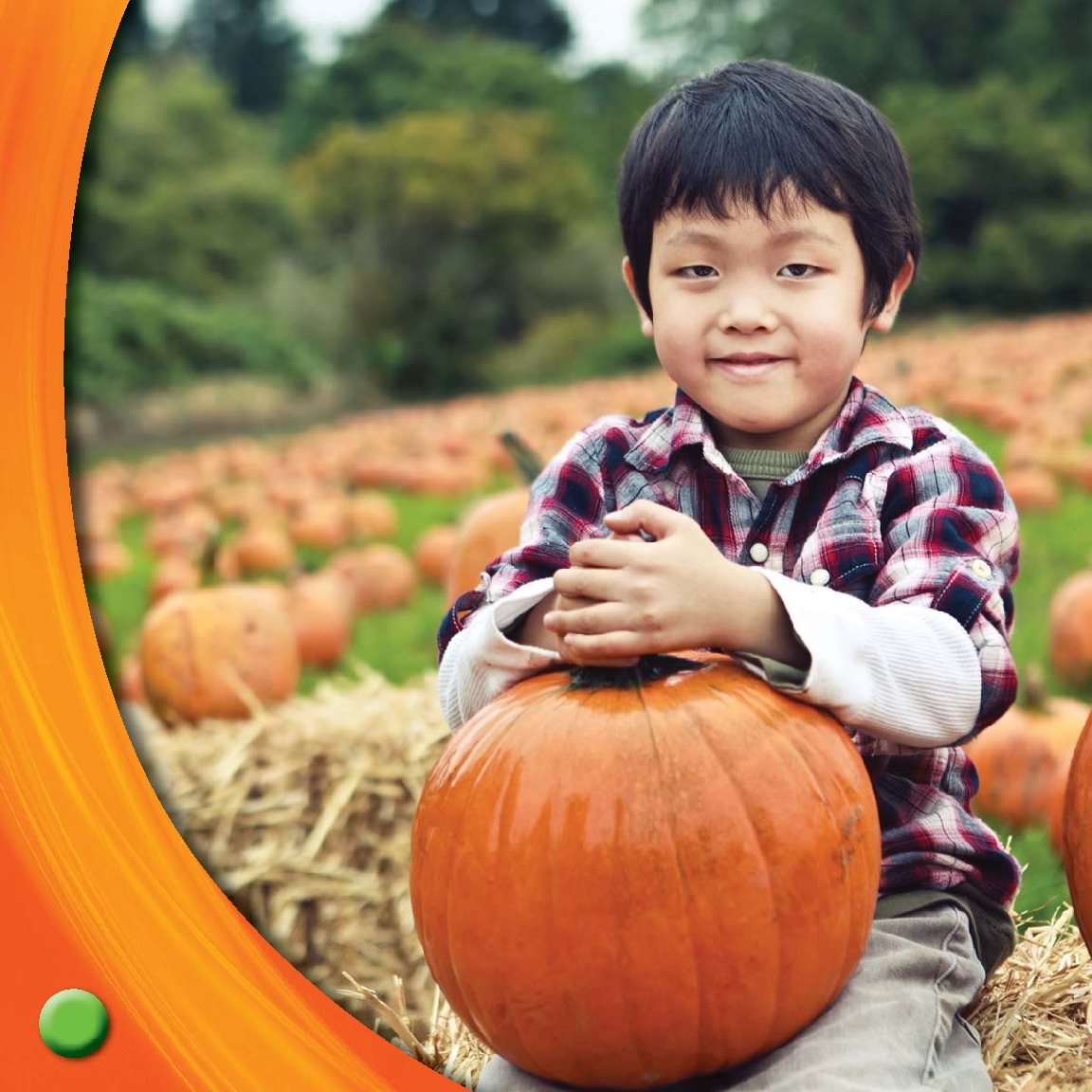 People harvest pumpkins in fall Tate takes pumpkins home to carve - photo 15