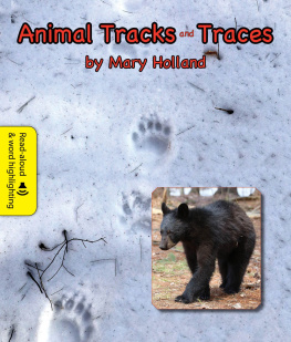 Mary Holland Animal Tracks and Traces