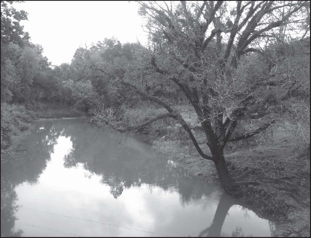 Touring the Battlefield To give you a comprehensive look at the battlefield - photo 5