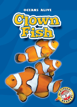 Colleen Sexton - Clown Fish