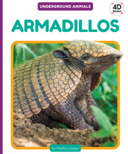 Martha London - Armadillos