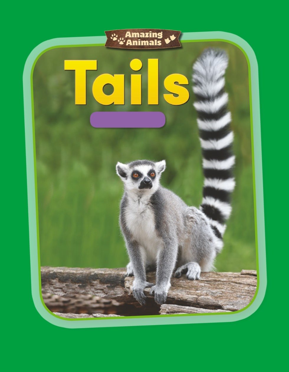 Amazing Animals Tails Measurement - photo 1