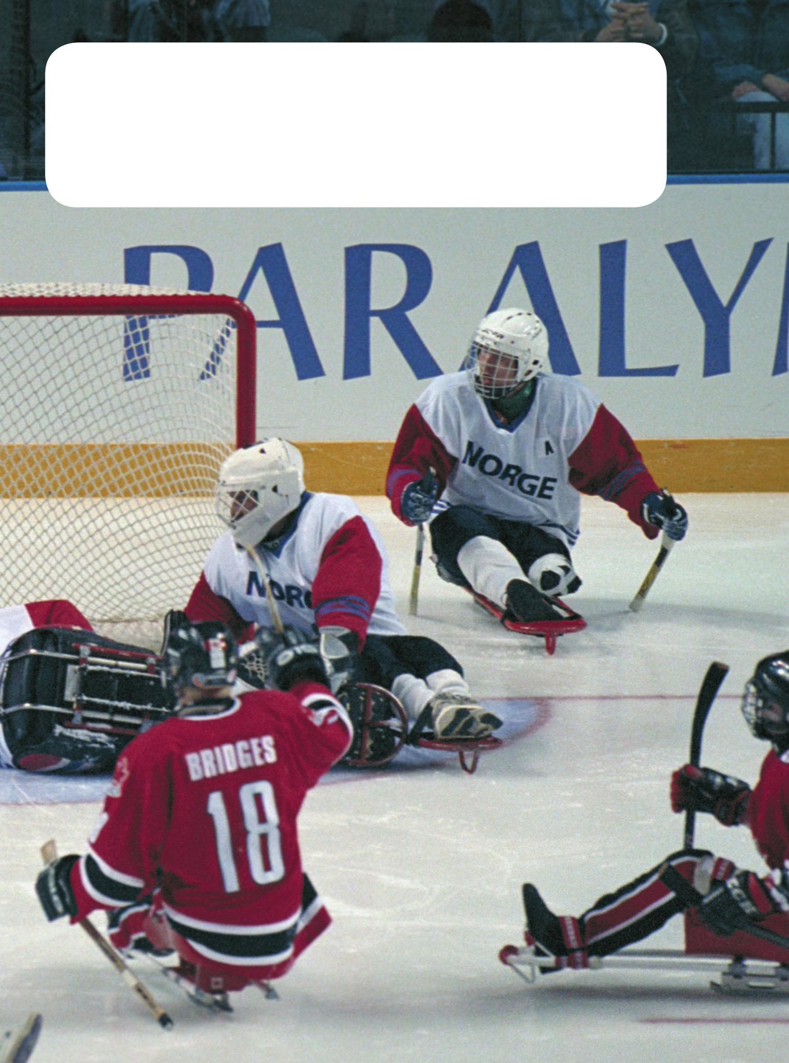 Each team has six players who sit in sleds They race across the ice using - photo 13