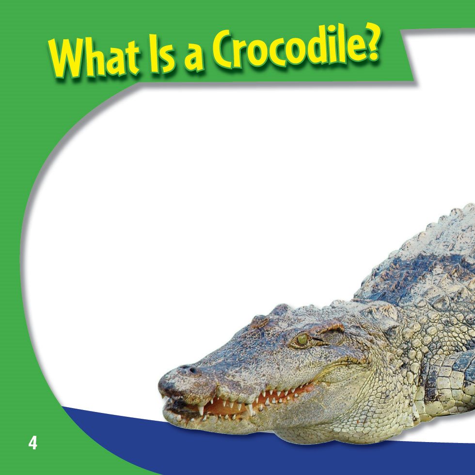 What Is a Crocodile A crocodile is a reptile Its skin is covered with - photo 6