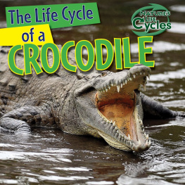 Barbara M. Linde - The Life Cycle of a Crocodile