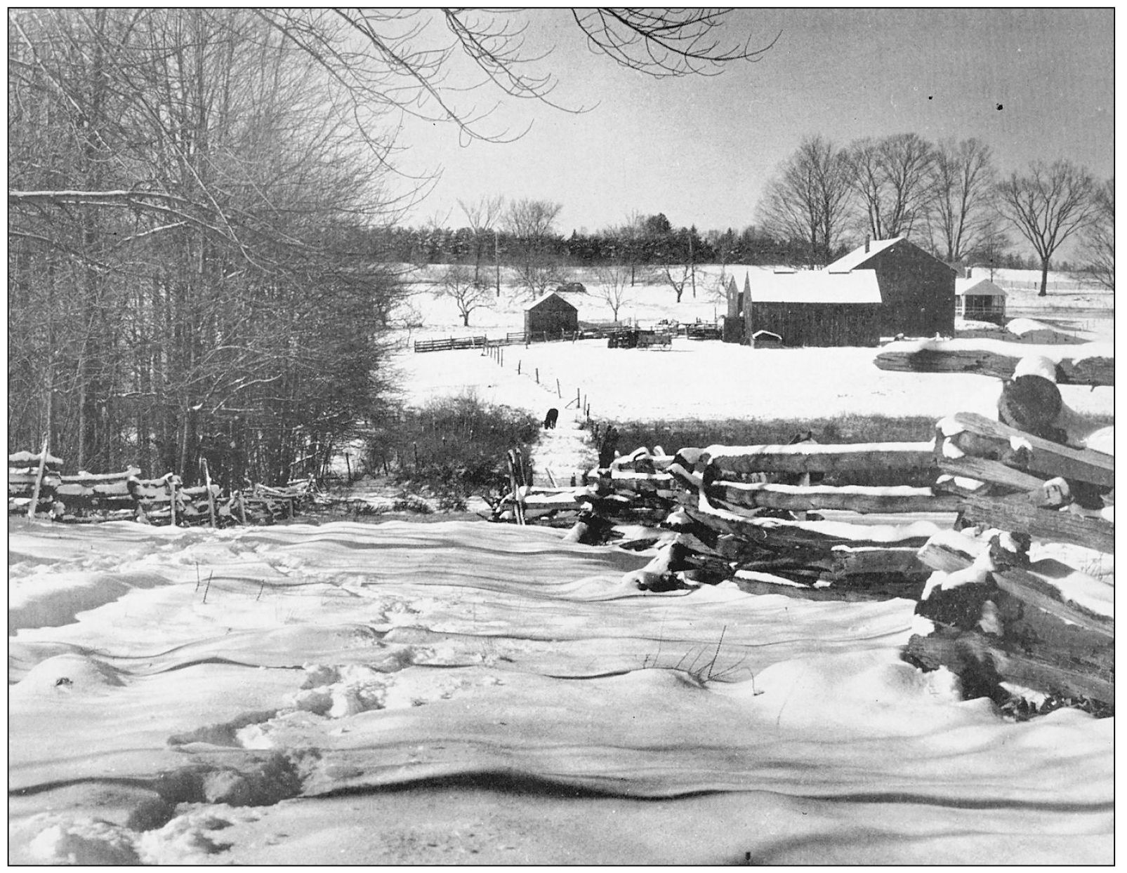 AN OLD AMHERST FARM IN WINTER EAST PLEASANT STREET Good Night Near - photo 14