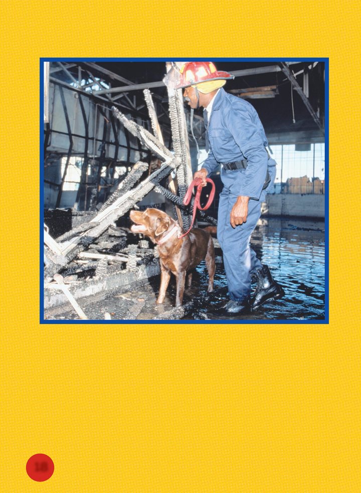 Arson detection teams work carefully Walking through burned buildings - photo 18