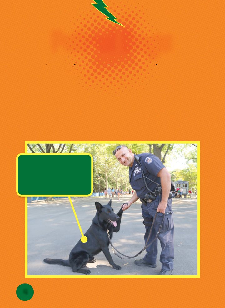 Patrol Dogs Did you know dogs can be police officers too They are called - photo 4