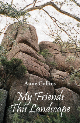 Anne Collins My Friends This Landscape