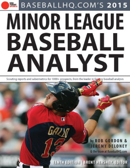 Rob Gordon - 2015 Minor League Baseball Analyst