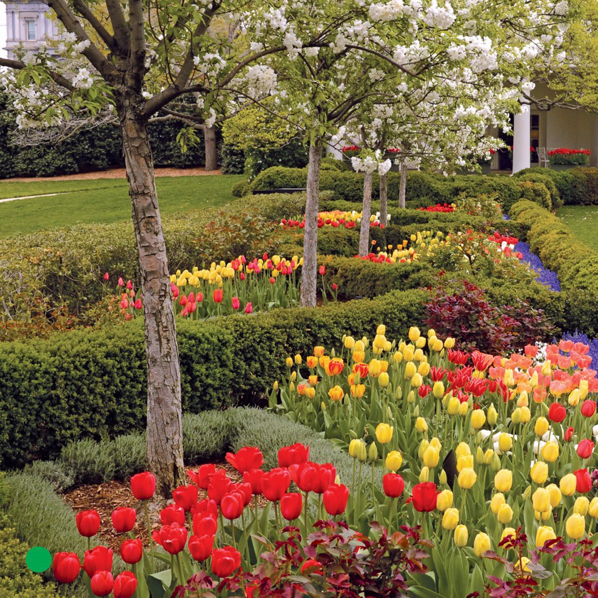 The White House has a big yard Look Flowers Its the Rose Garden The - photo 16