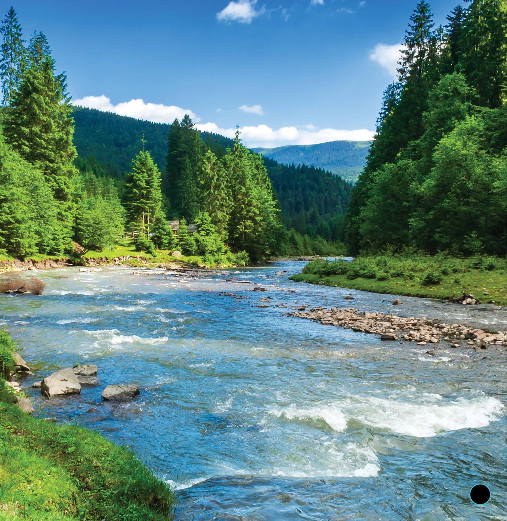 A river bottom may be sandy It could be rocky Leaves and twigs might cover - photo 6