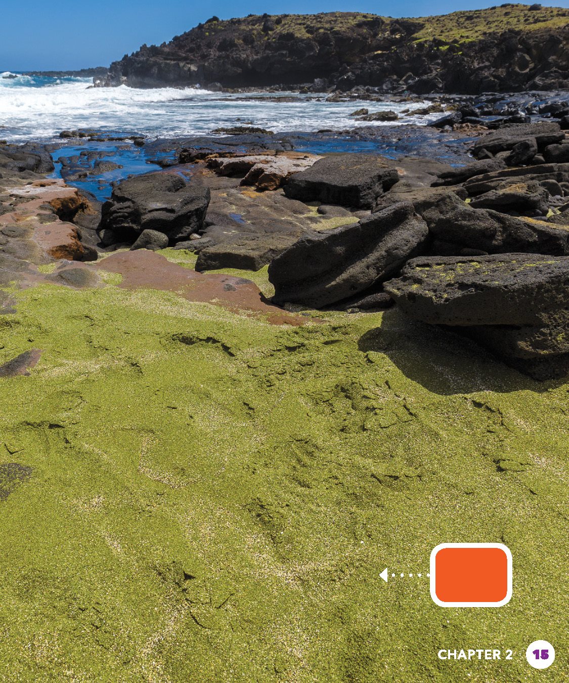 green sand basalt column Giants Causeway is in Ireland It has more - photo 15