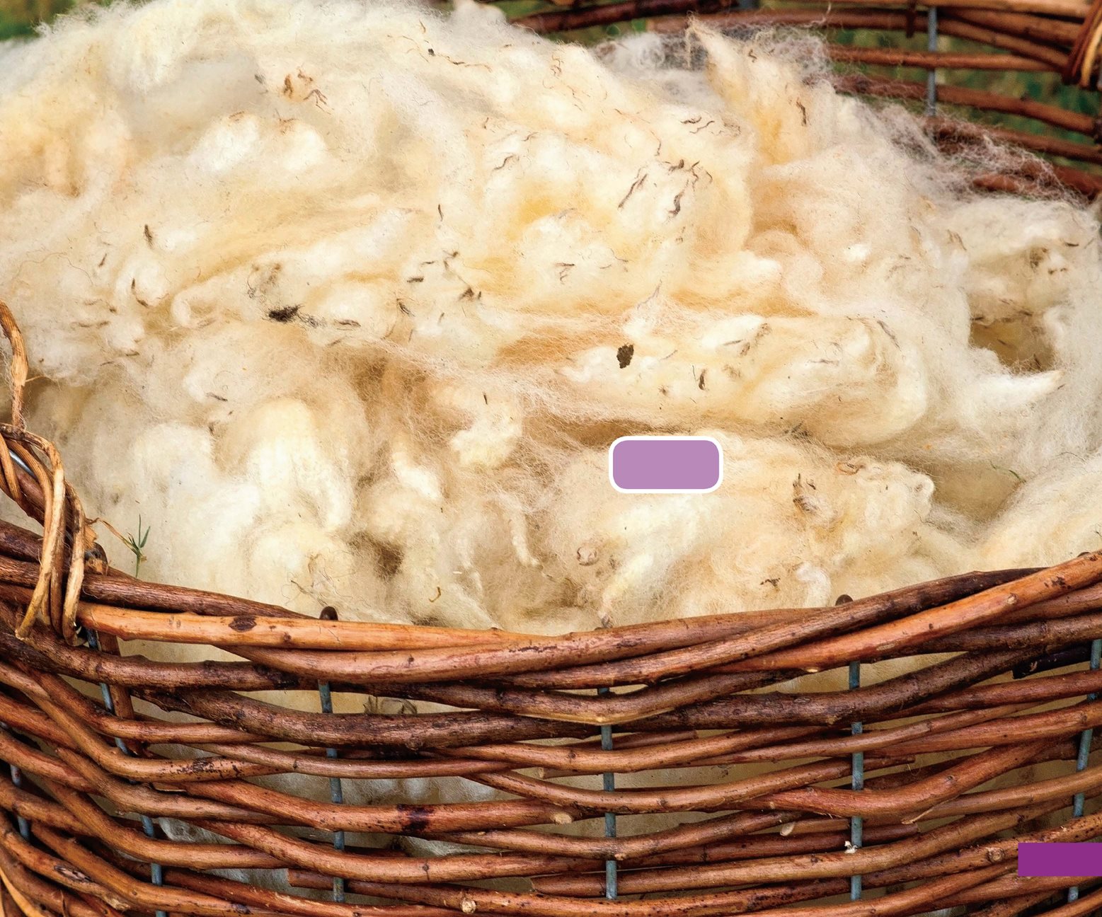 wool Farmers shave the sheeps wool in late spring or early summer This - photo 19