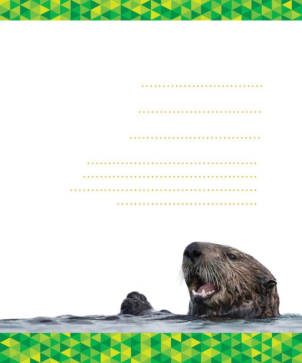 TABLE OF CONTENTS CHAPTER HUNTING SEA OTTERS A sea otter floats on - photo 3