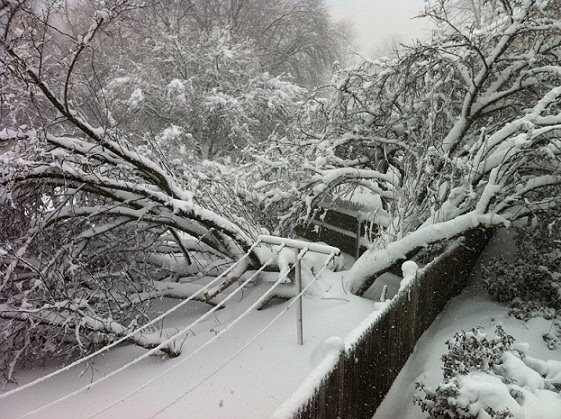 Above The damage left in the wake of a Blizzard in the city of Boston - photo 3