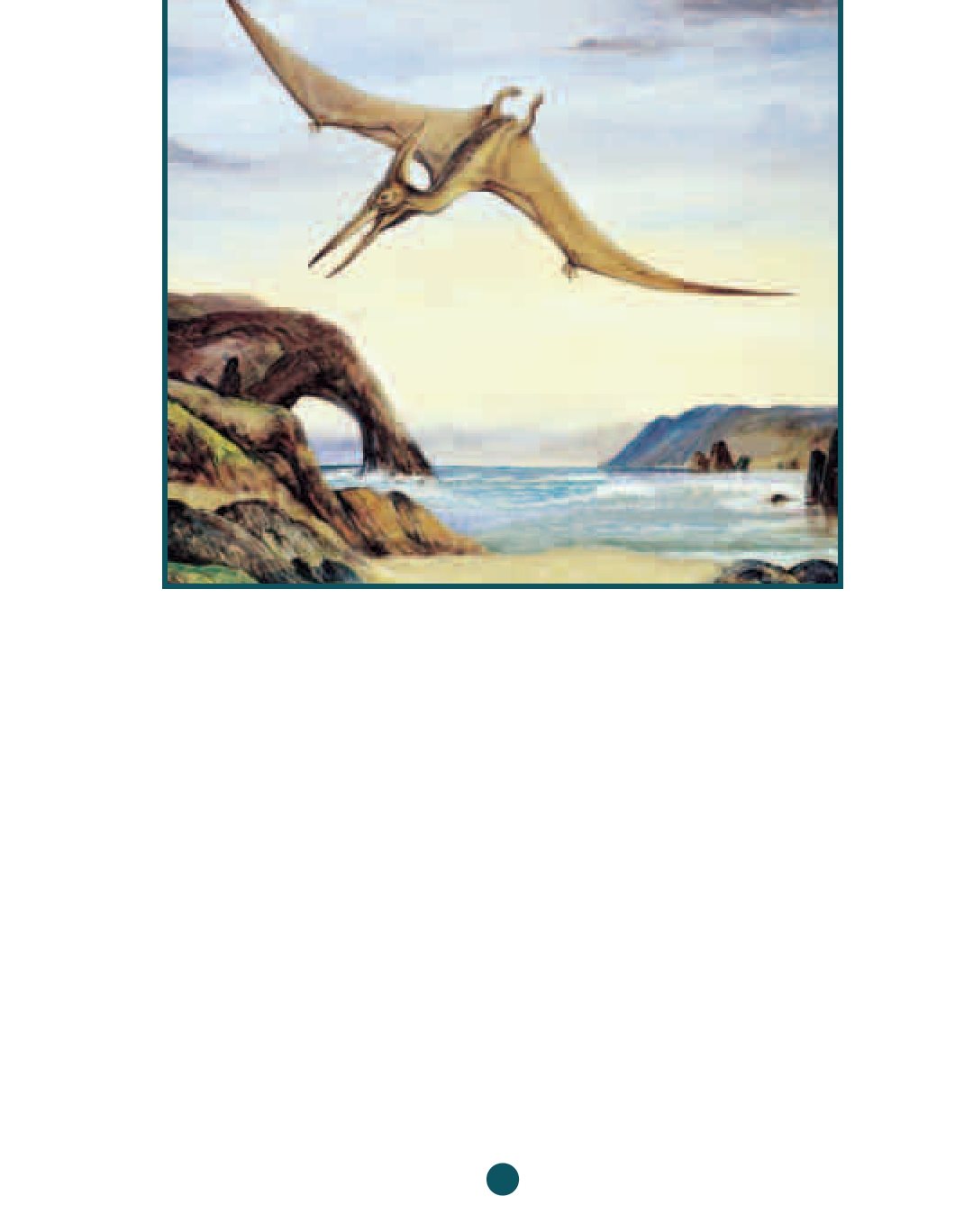 Pterosaurs lived during the Mesozoic Era Often called the Age of Reptiles the - photo 7