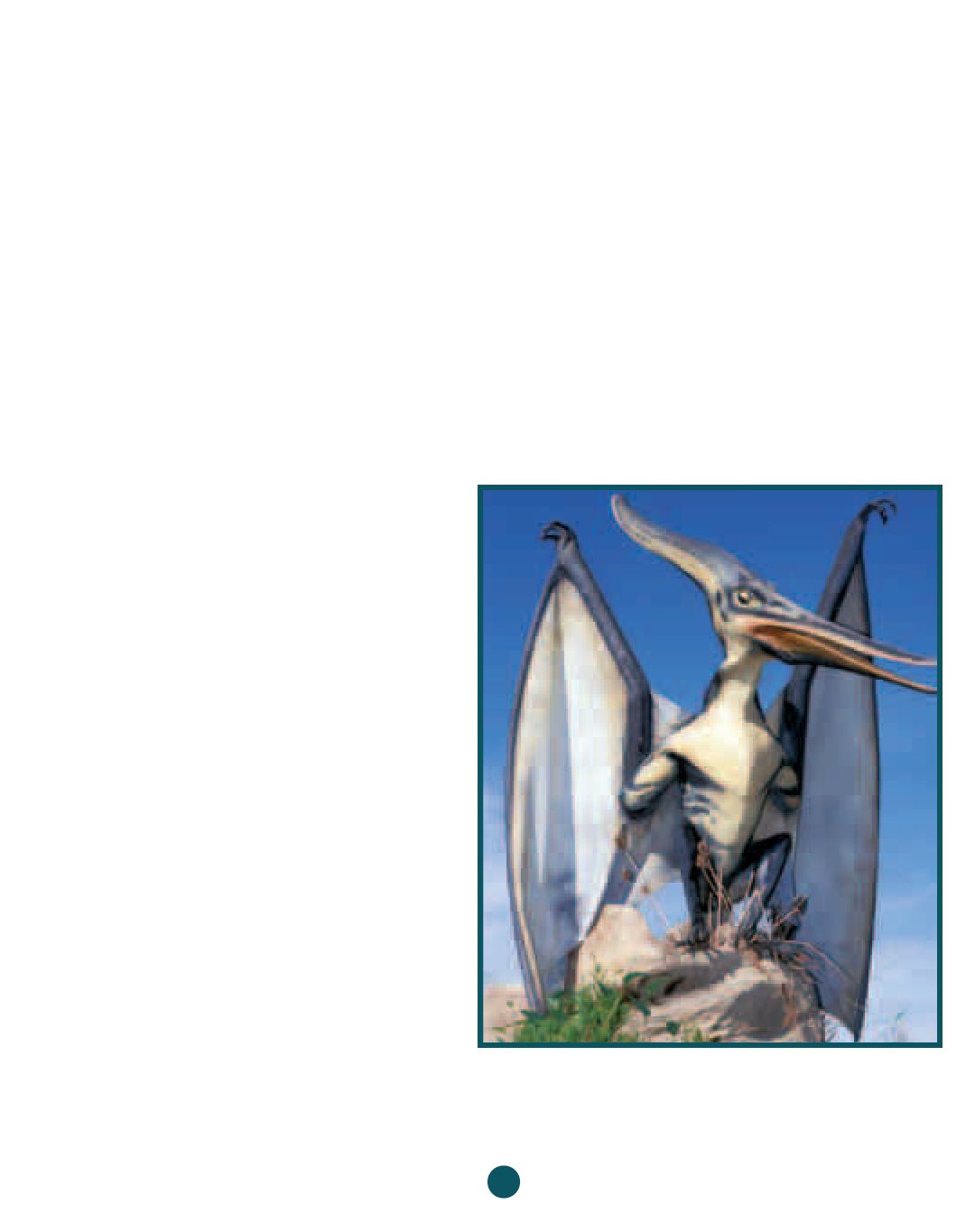 CHAPTER TWO What Were the Pterosaurs P terosaurs were flying reptiles that - photo 9