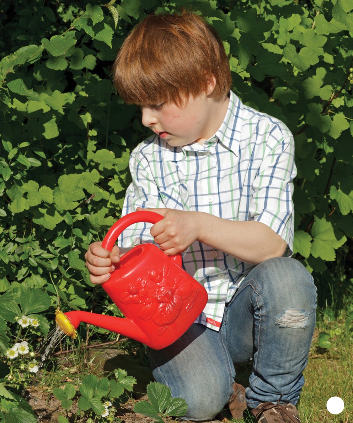 CHAPTER 2 You will want to protect your plants from pests like slugs - photo 17