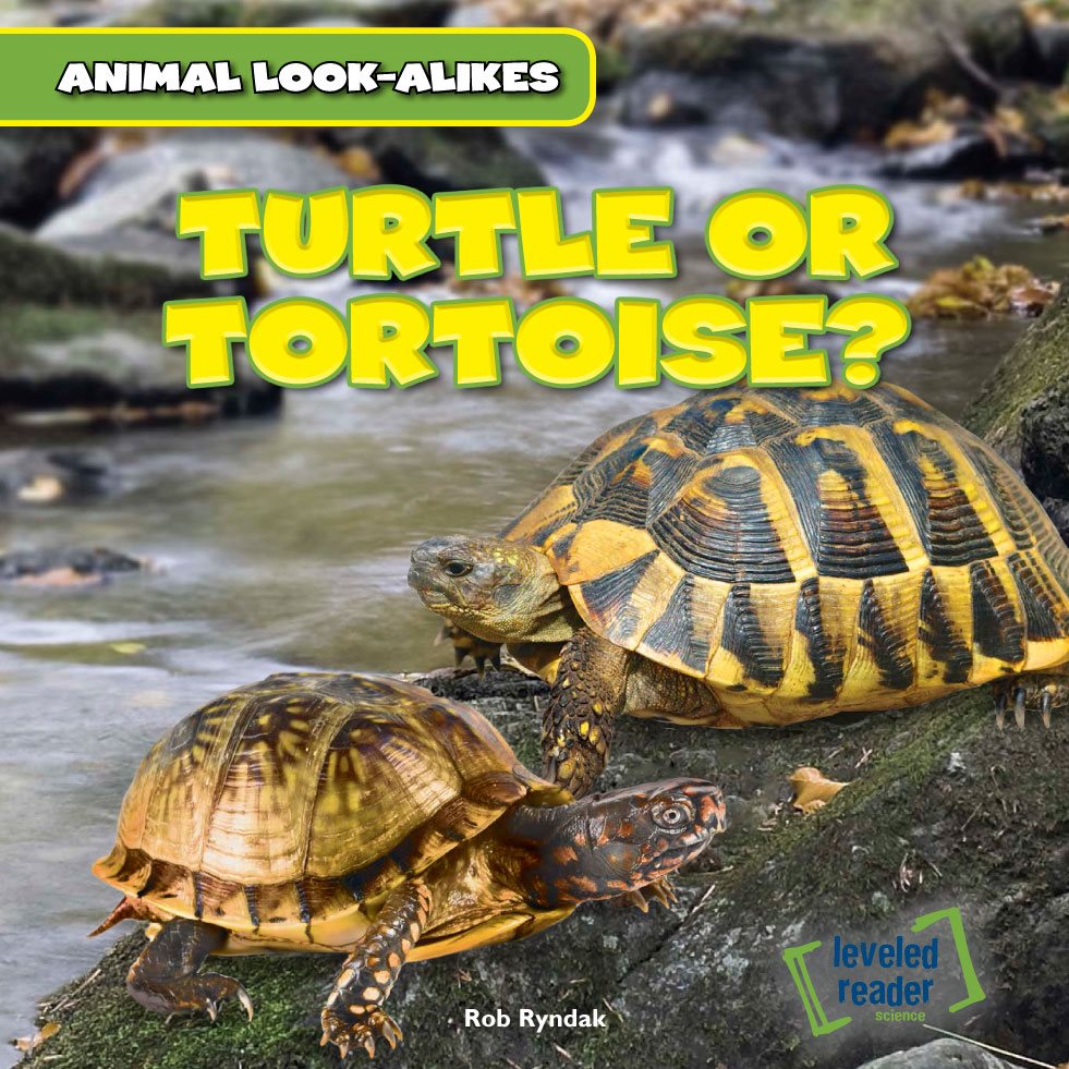 ANIMAL LOOK-ALIKES TURTLE OR TORTOISE Rob Ryndak leveled reader - photo 1