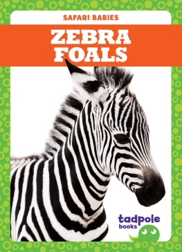 Genevieve Nilsen Zebra Foals