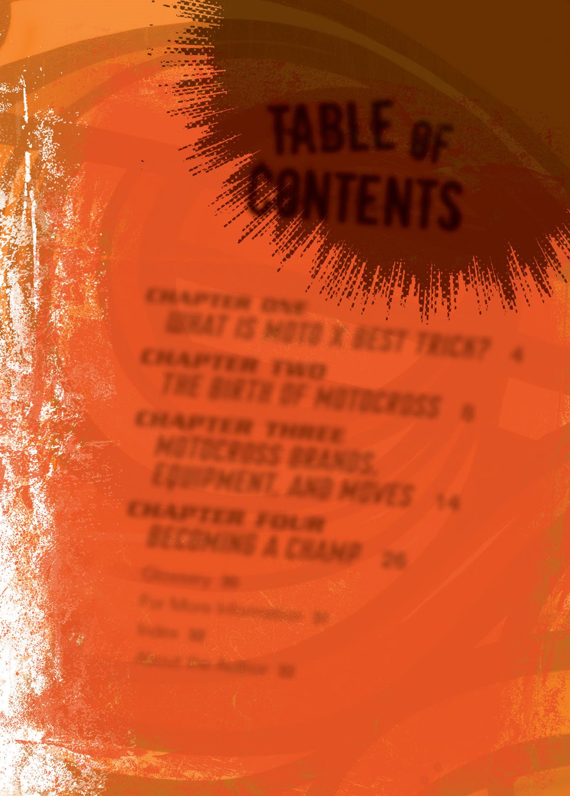 TABLE OF CONTENTS CHAPTER ONE CHAPTER TWO CHAPTER THREE CHAPTER FOUR - photo 5