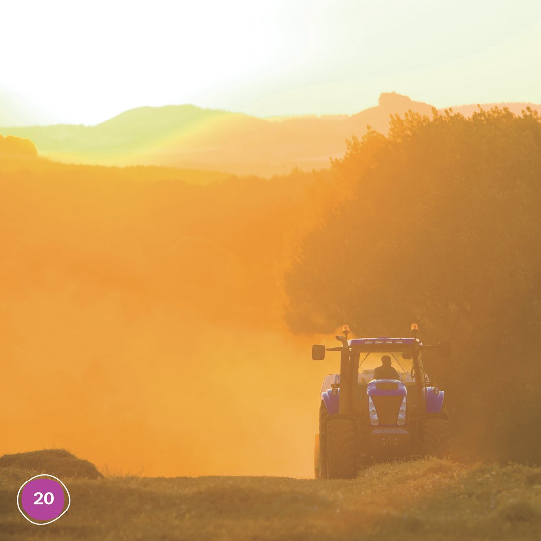 Farming is hard work Farmers wake up early to care for animals They - photo 20