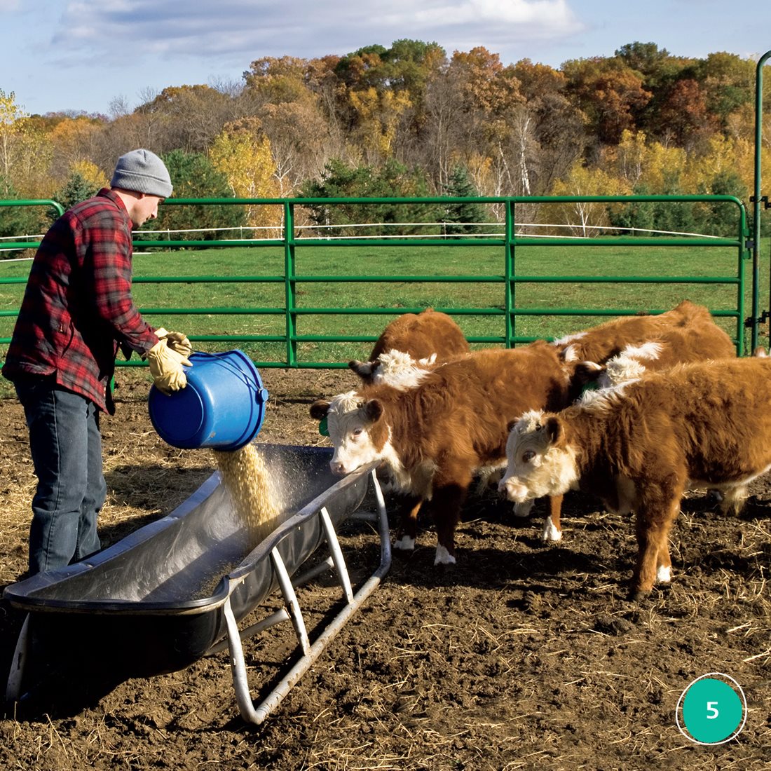 Farms use lots of land Farmers plant crops on this land Animals live on - photo 5