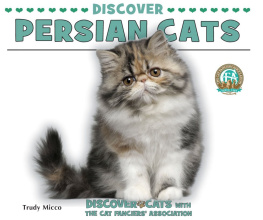 Trudy Micco Discover Persian Cats