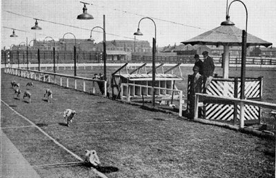 A RACE IN P ROGRESS Greyhound Racing and Breeding By A Croxton Smith Vintage - photo 1