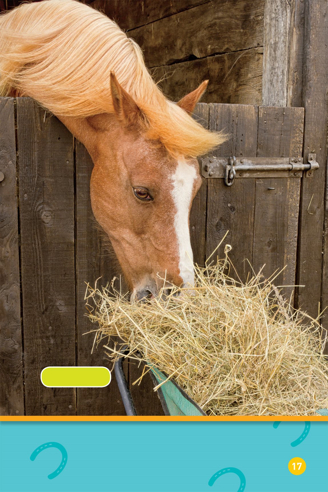 Welsh pony They eat hay too Shetland ponies Play - photo 19